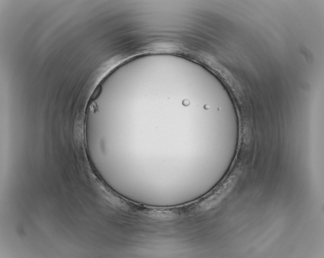 X0000112181473200908281350