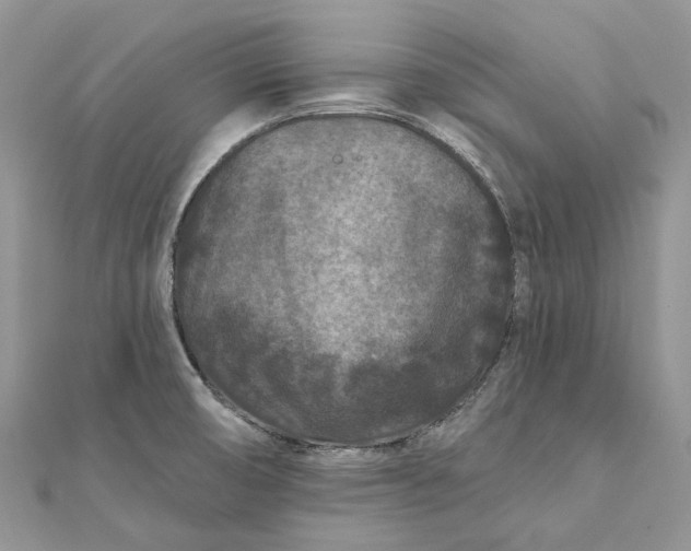 X0000112181474200908281350