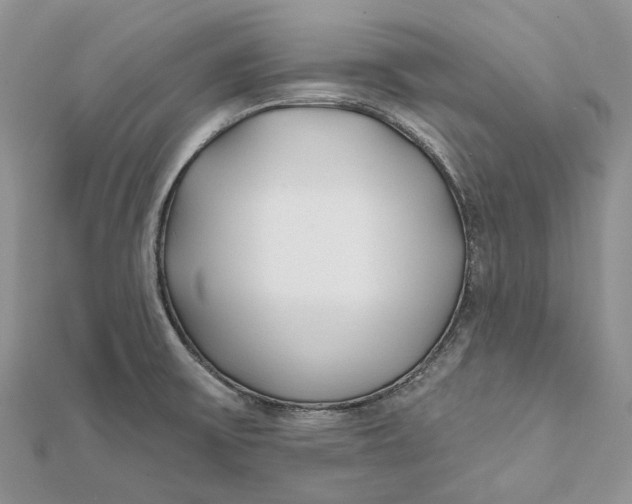 X0000112181475200908281350