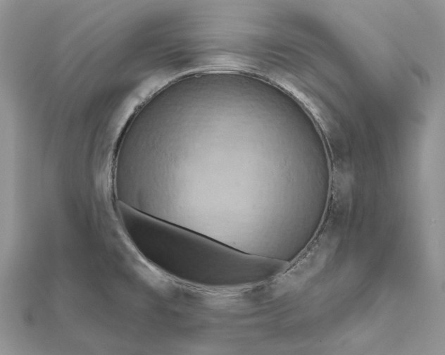 X0000112181477200908281350