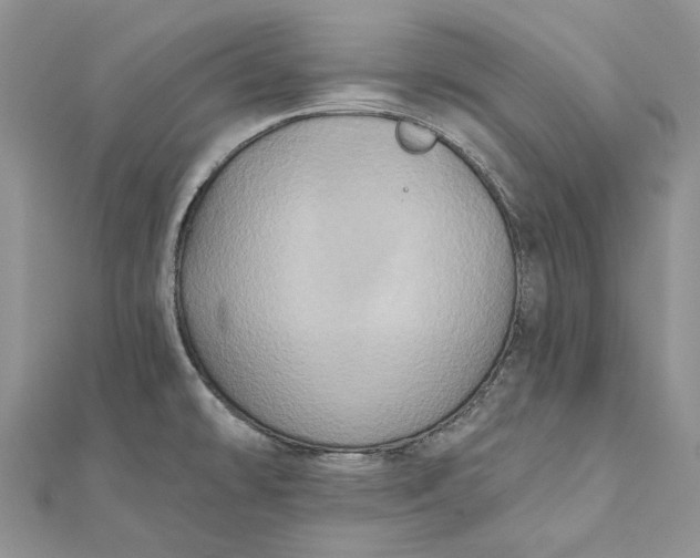 X0000112181478200908281350