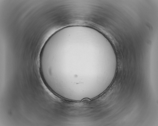 X0000112181479200908281350