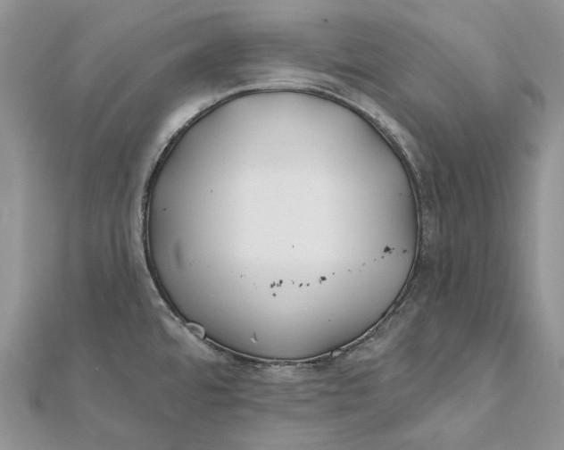 X0000112181480200908281350