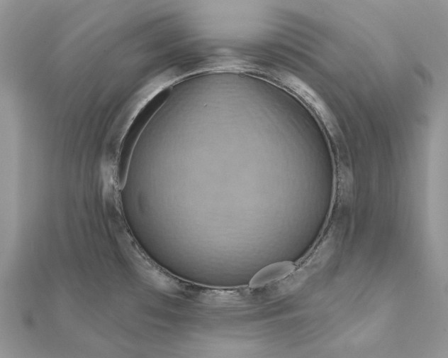 X0000112181481200908281350