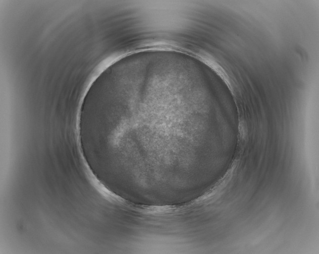 X0000112181482200908281350