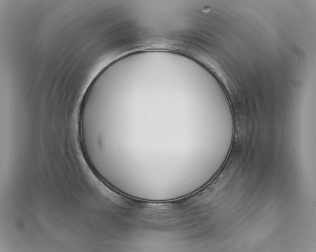 X0000112181483200908281350