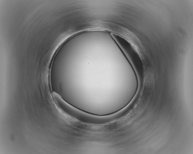 X0000112181484200908281350