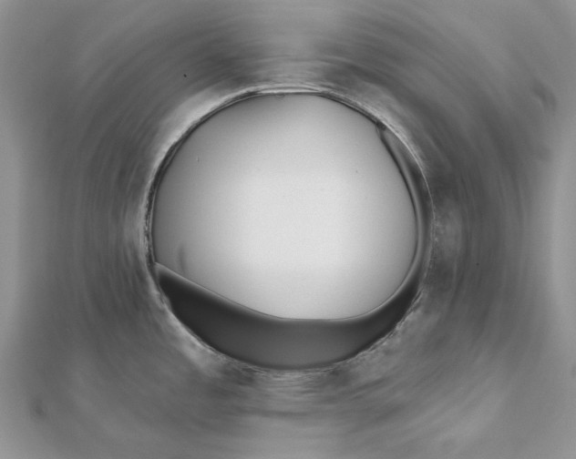 X0000112181485200908281350