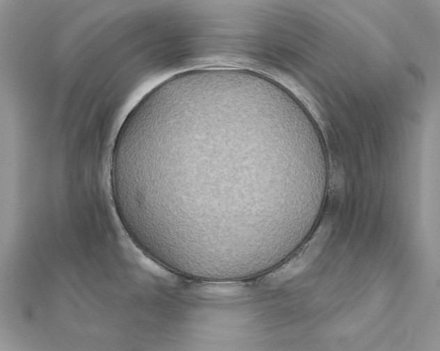 X0000112181486200908281350