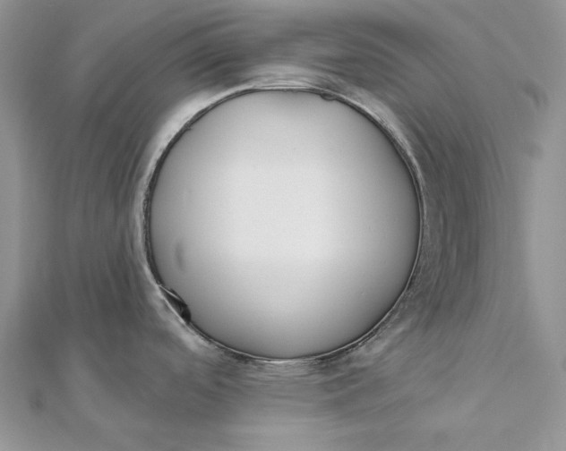 X0000112181488200908281350