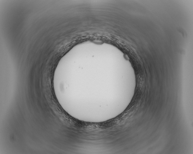 X0000112181489200908281349