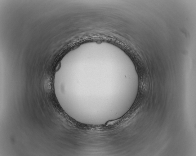 X0000112181490200908281349