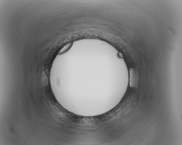 X0000112181491200908281349