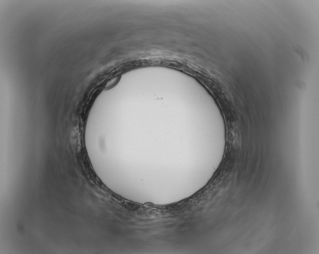 X0000112181493200908281349