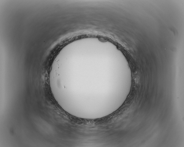 X0000112181495200908281349