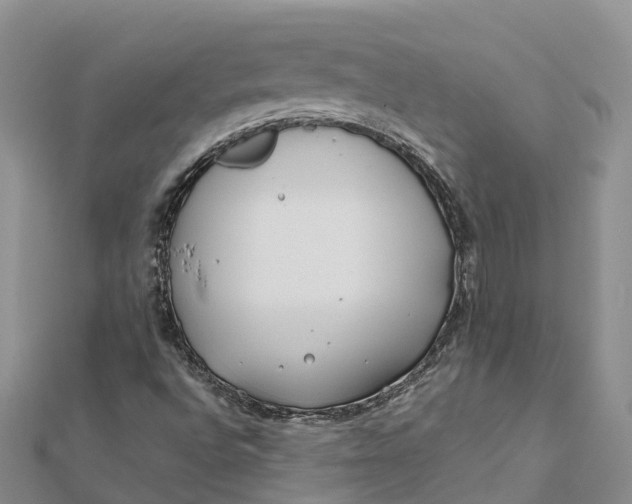 X0000112181496200908281349