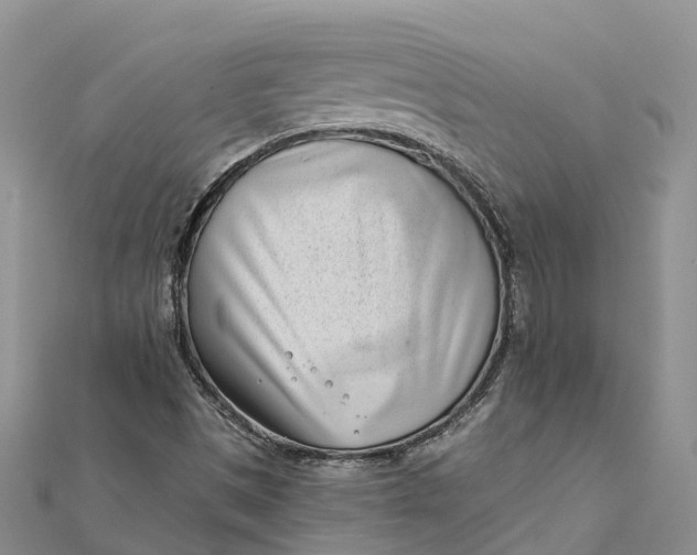 X0000112181497200908281349