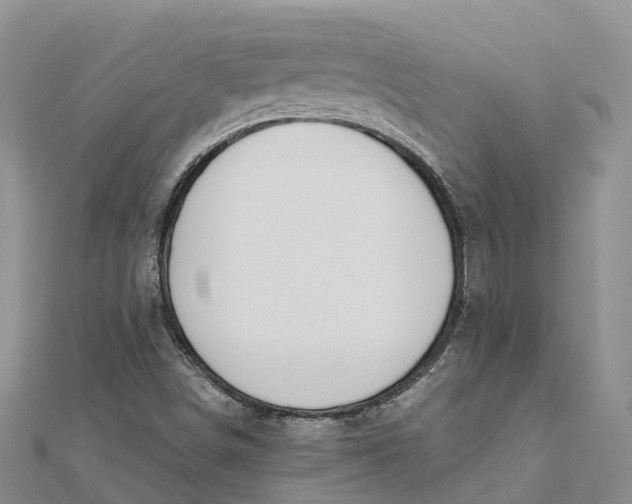 X0000112181498200908281349