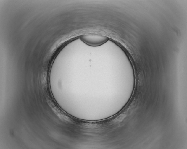 X0000112181499200908281350