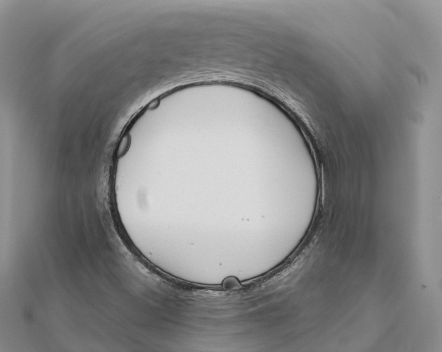 X0000112181500200908281350