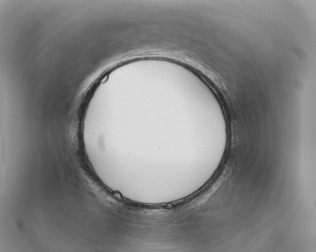 X0000112181502200908281350