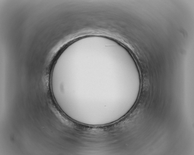 X0000112181503200908281350