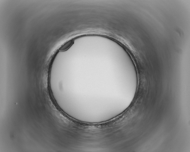 X0000112181504200908281350