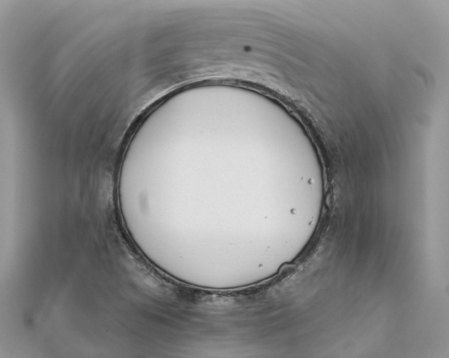 X0000112181505200908281350