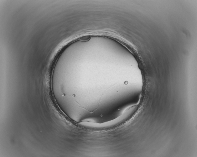 X0000112181506200908281350