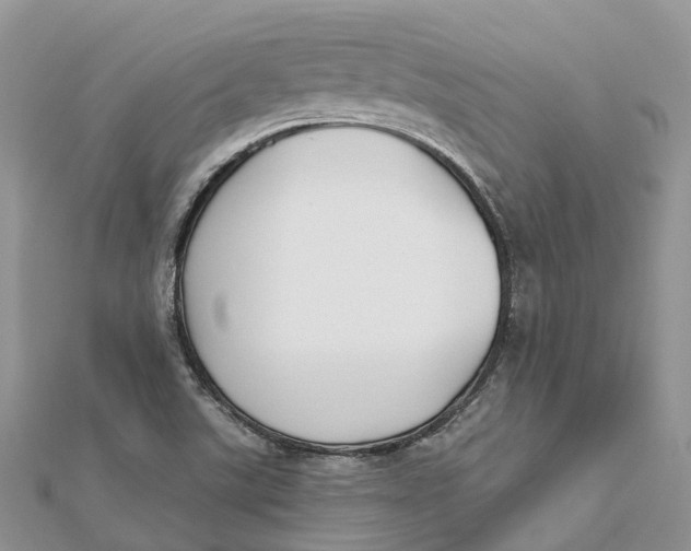 X0000112181507200908281350