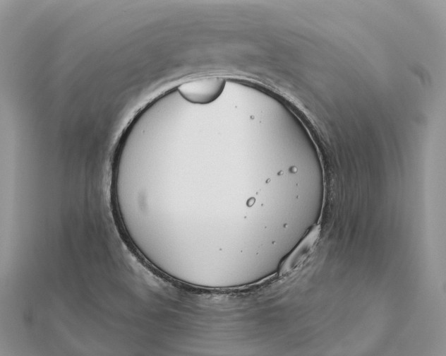 X0000112181508200908281350