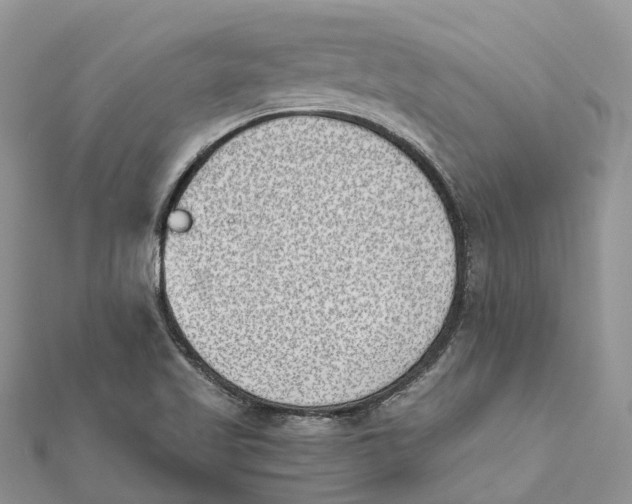 X0000112181509200908281350