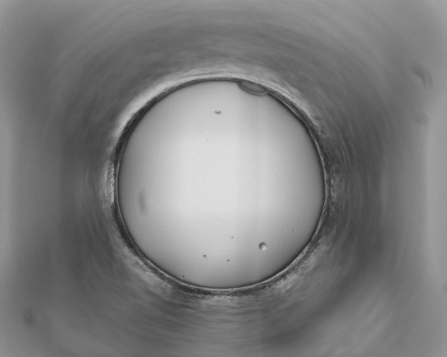 X0000112181510200908281350