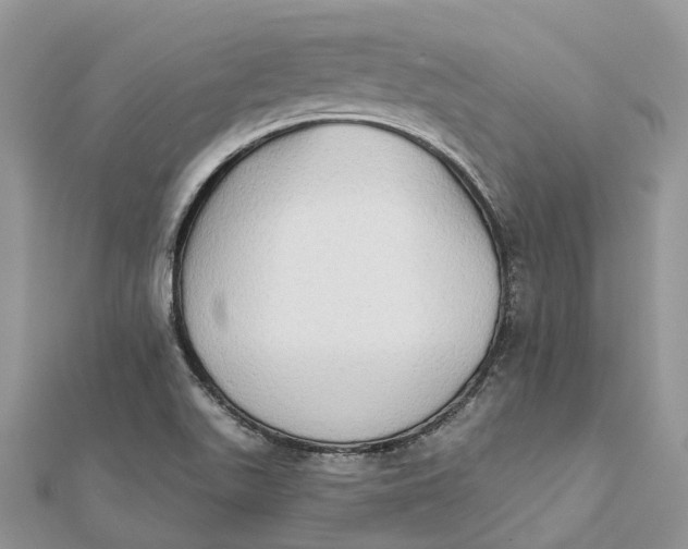 X0000112181511200908281350