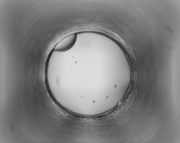 X0000112181512200908281350