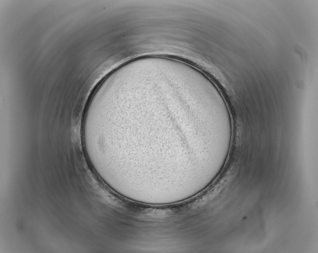 X0000112181513200908281350