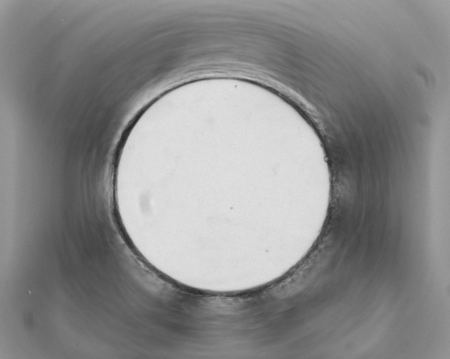 X0000112181514200908281350