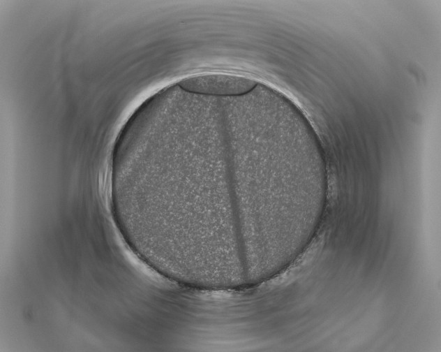 X0000112181515200908281350