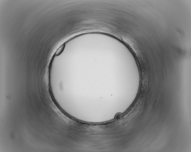 X0000112181516200908281350