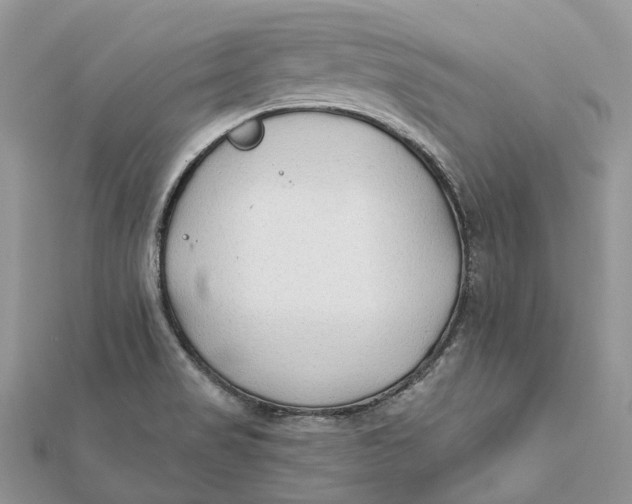 X0000112181517200908281350