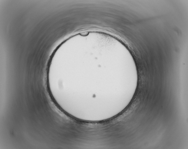 X0000112181518200908281350