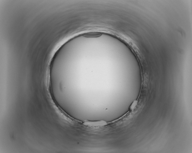 X0000112181520200908281350