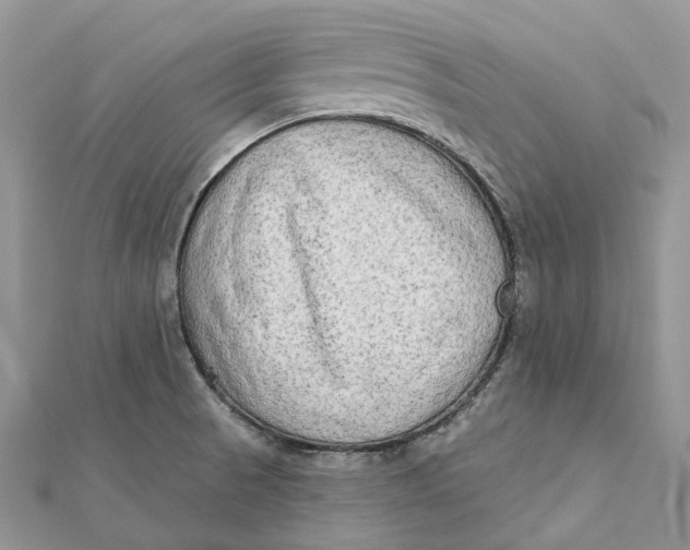 X0000112181521200908281350