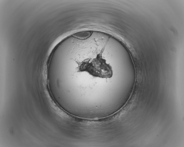 X0000112181522200908281350