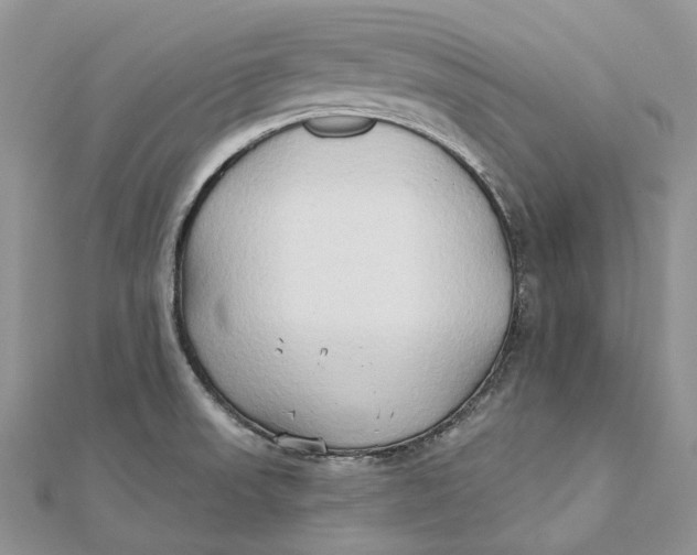 X0000112181523200908281350