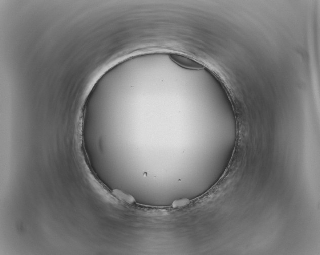 X0000112181524200908281350