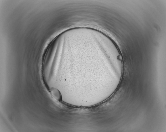 X0000112181525200908281350