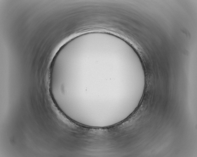 X0000112181526200908281350