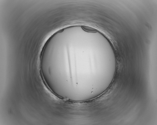 X0000112181527200908281350