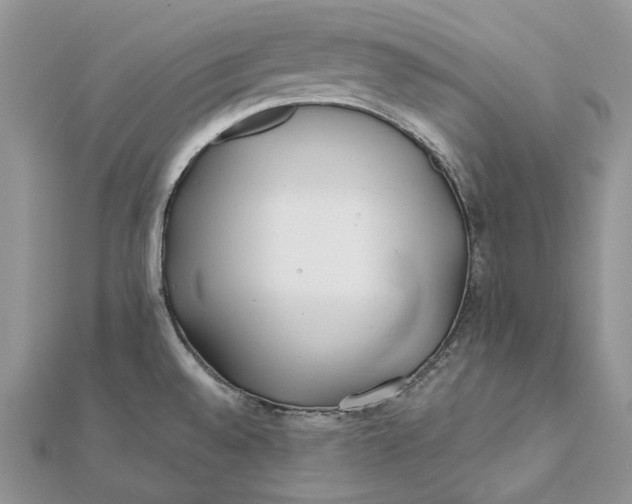 X0000112181528200908281350